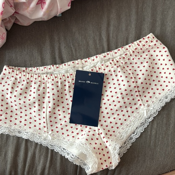 NWT Brandy Melville HEART LACE HIPSTER UNDERWEAR - Picture 2 of 4